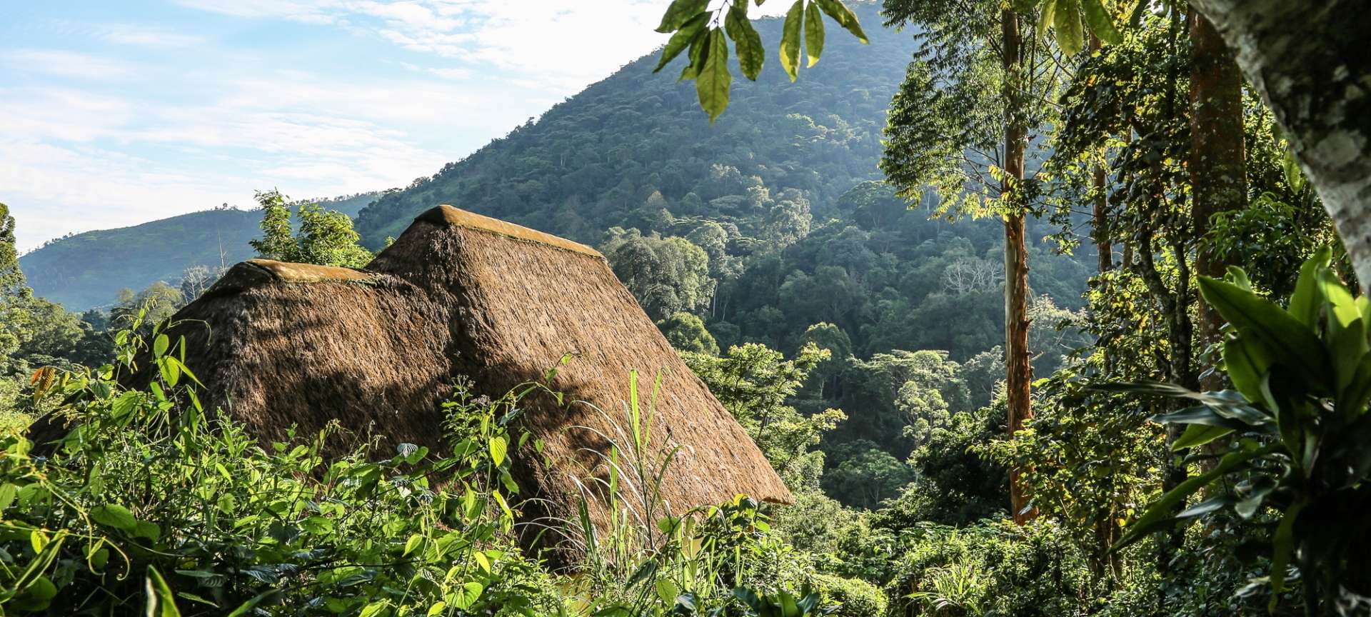 bwindi_impenetrable_forest